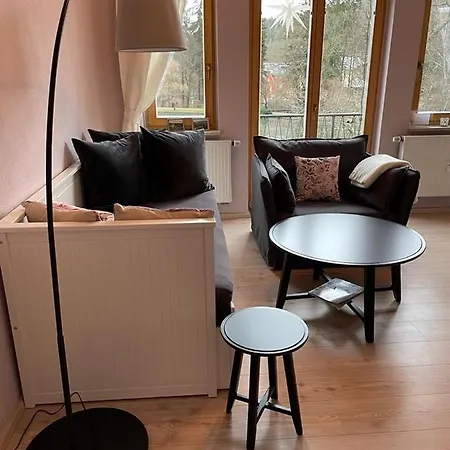 Am Gondelteich Apartment Bad Elster
